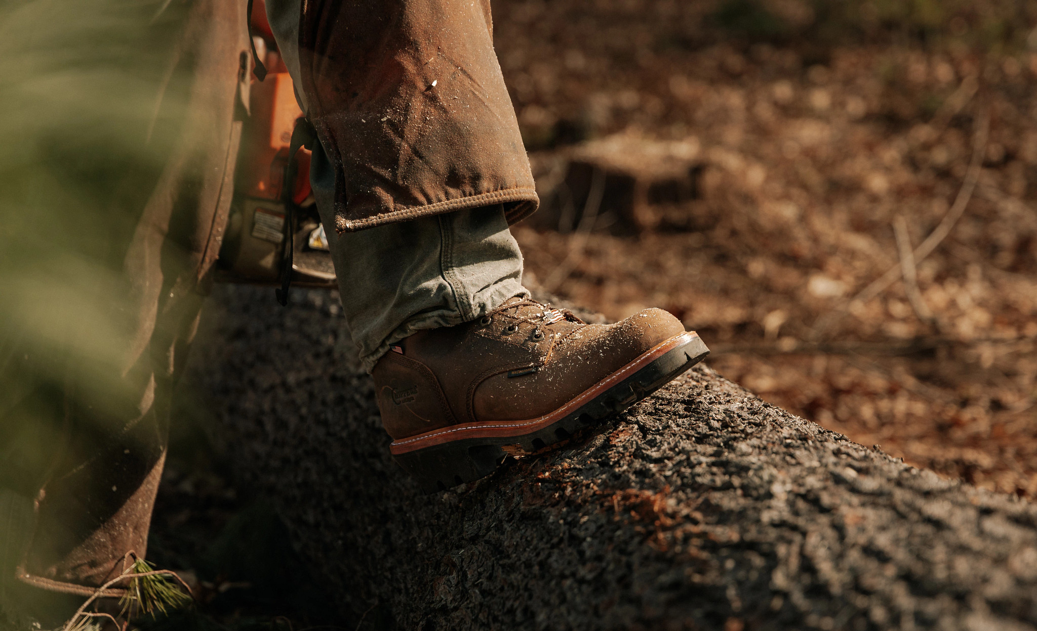 Super Logger 9" Waterproof Insulated Steel Toe  shown on model 
