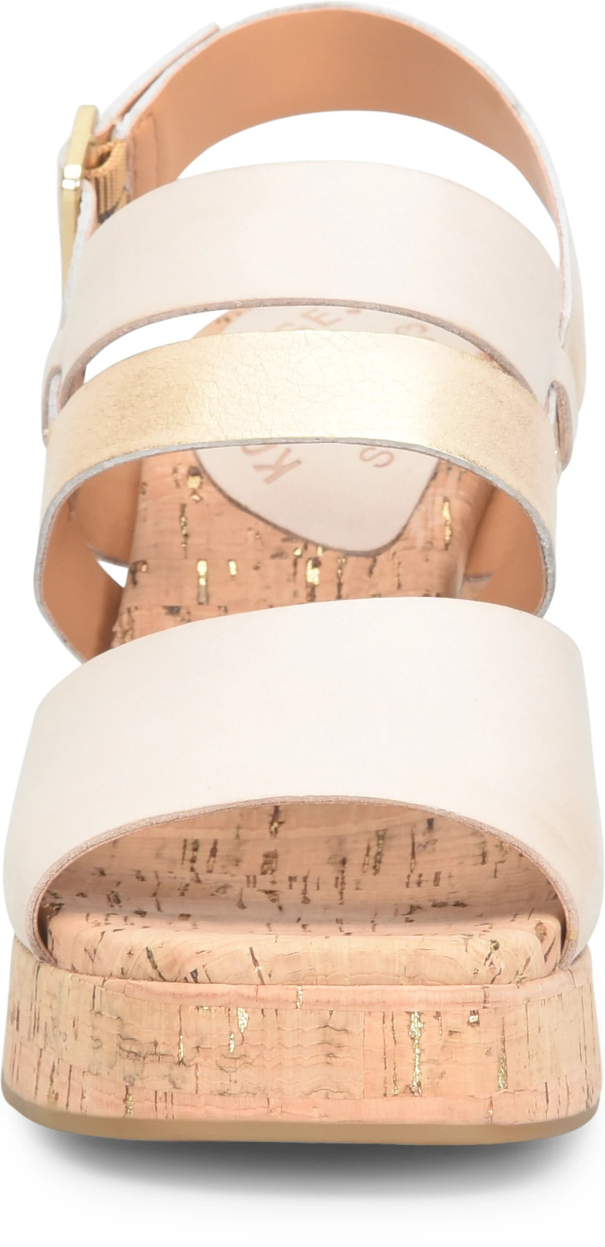 view frontal
