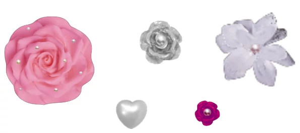 Unisex Crocs Boho Flowers 5 Pack Jibbitz shown in Multi (Multicolor)