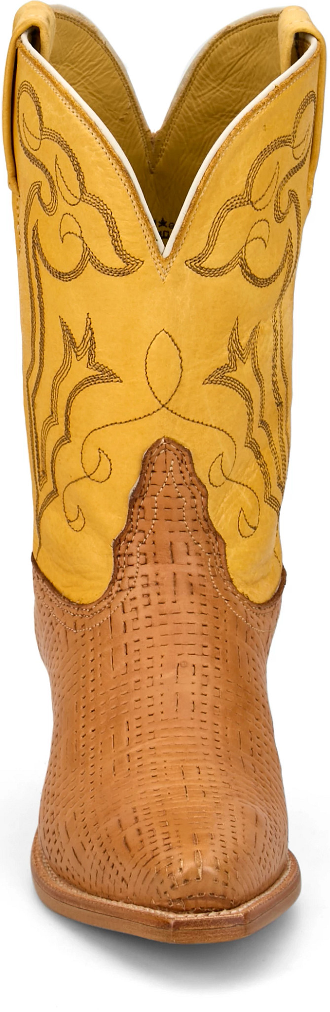 view frontal