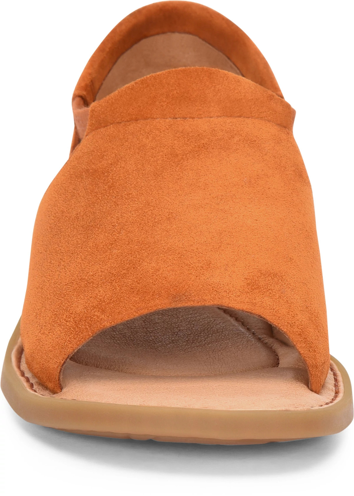 Cove Modern Colors Born Shoes