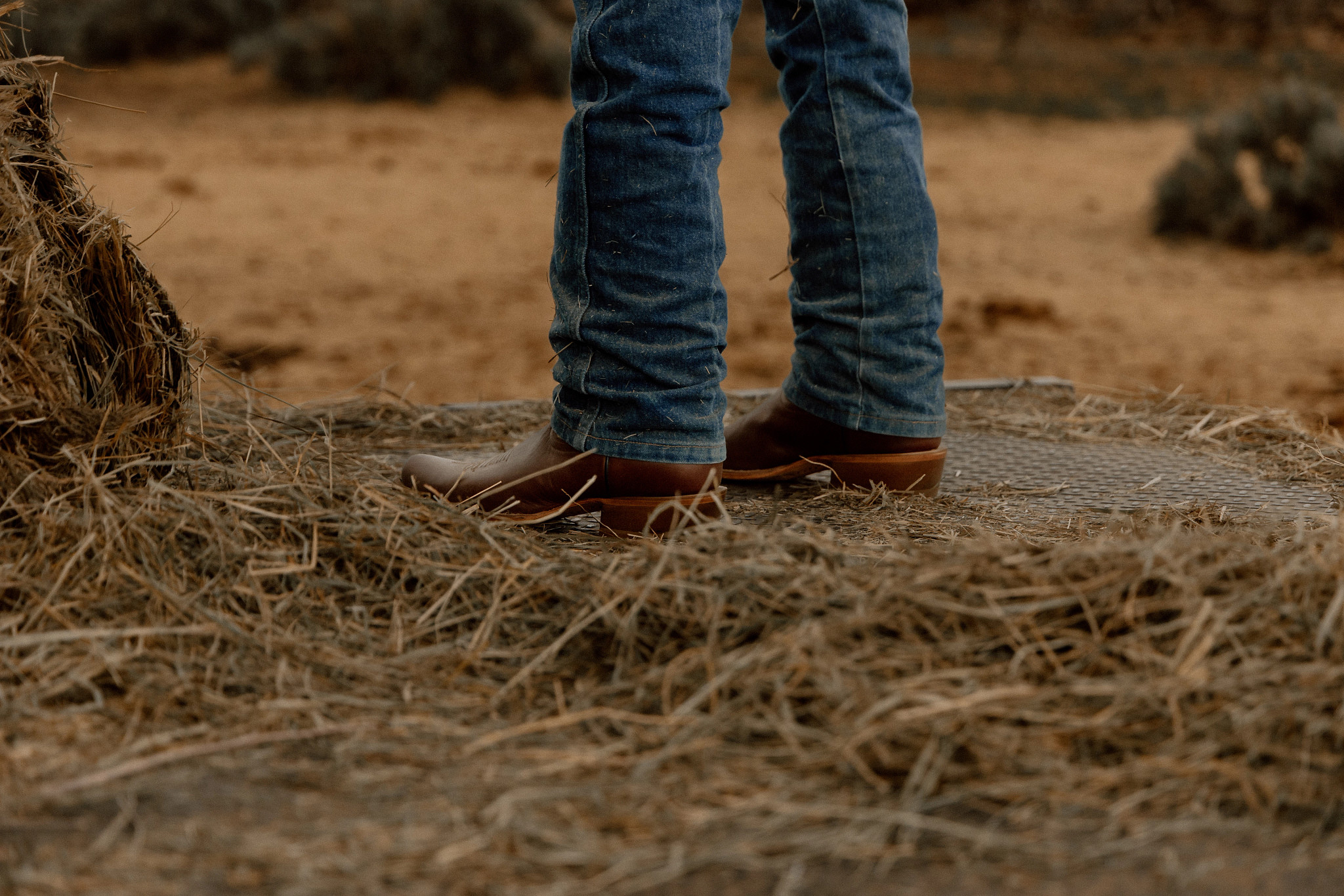Beau 13" Western shown on model 