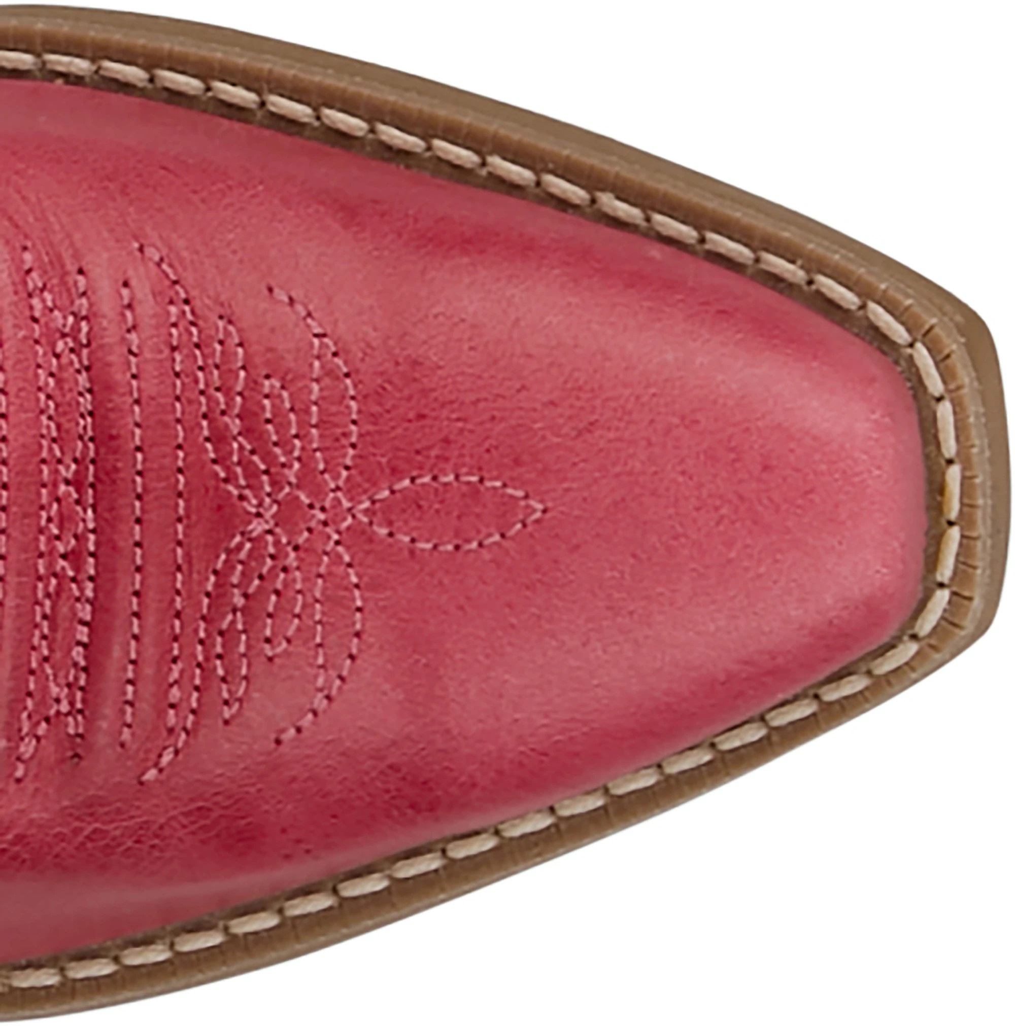 Bronci Junior shown on model 