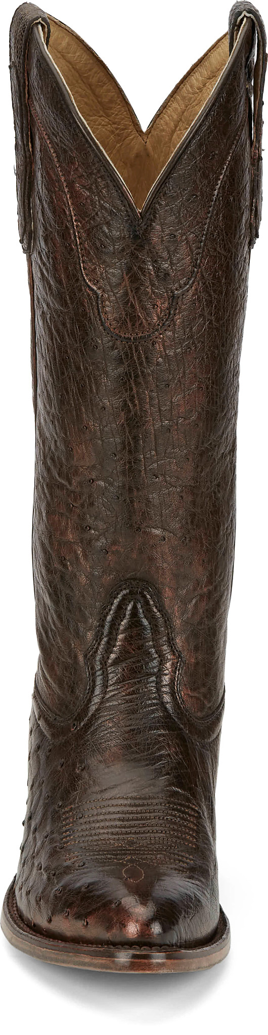 view frontal