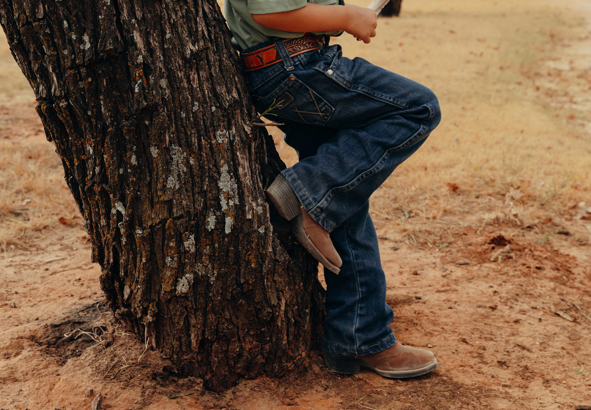 Tad Junior shown on model 
