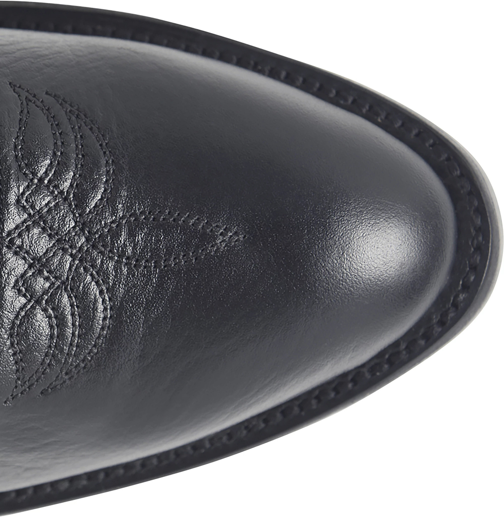 Corvus shown on model 
