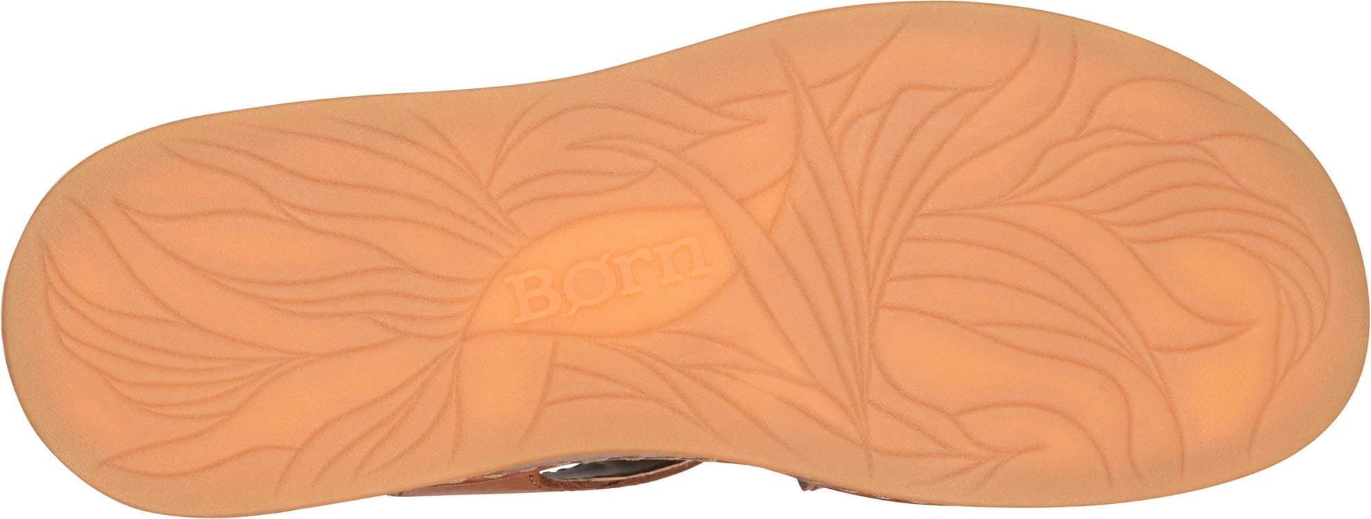 frontal