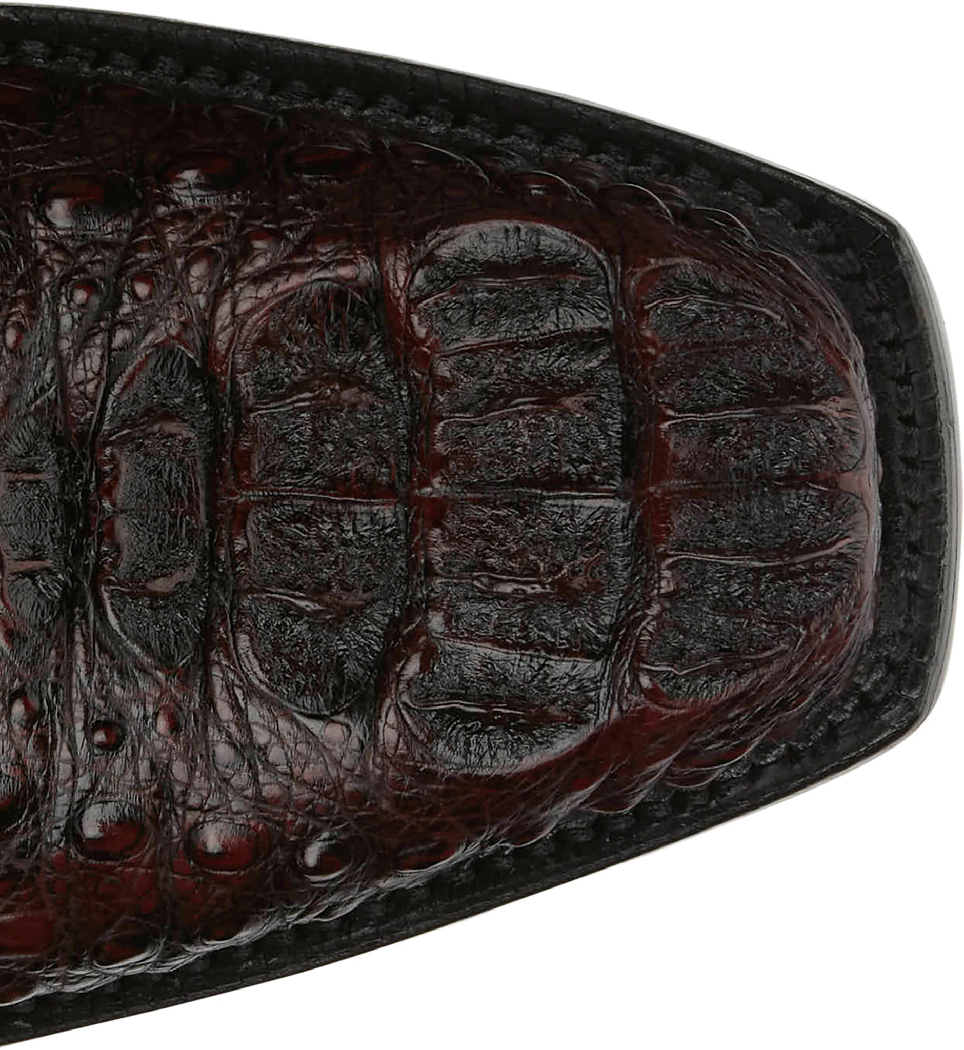 Salvador 13" Hornback Caiman shown on model 