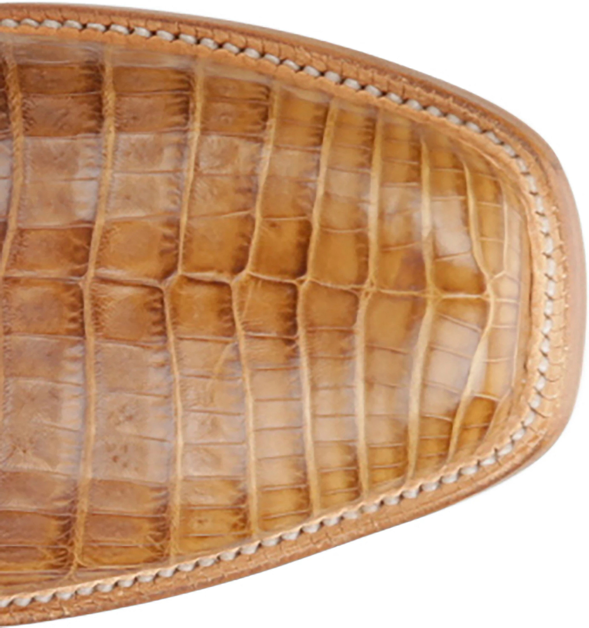 Dinero 13" Caiman shown on model 