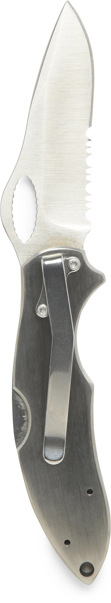 posterior
