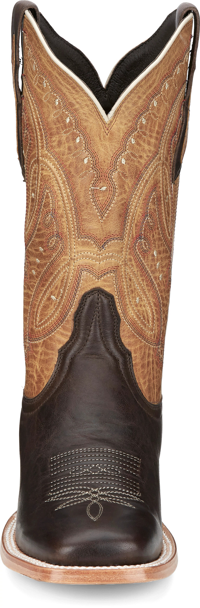 view frontal