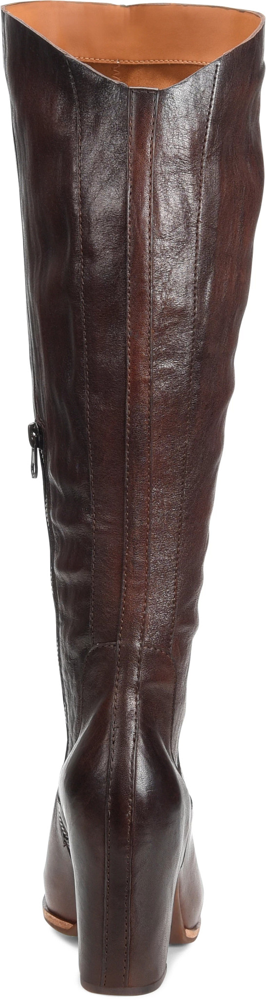back image