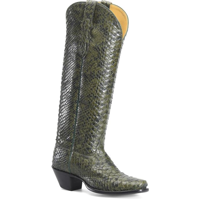 Python Tony Pernas Alezae 17