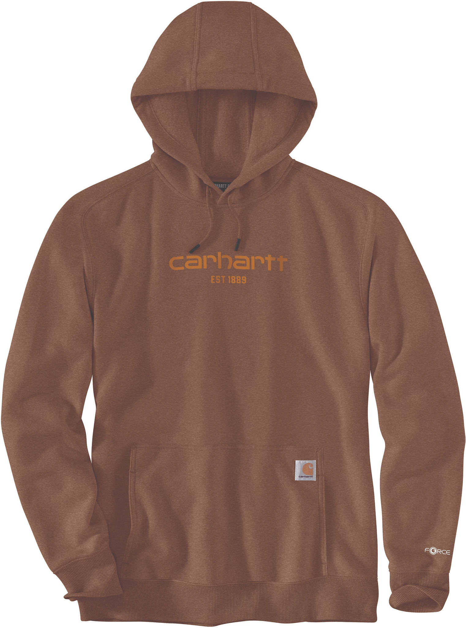 Carhartt Relaxed Fit Lightweight Logo Graphic Hoodie Super Shoes