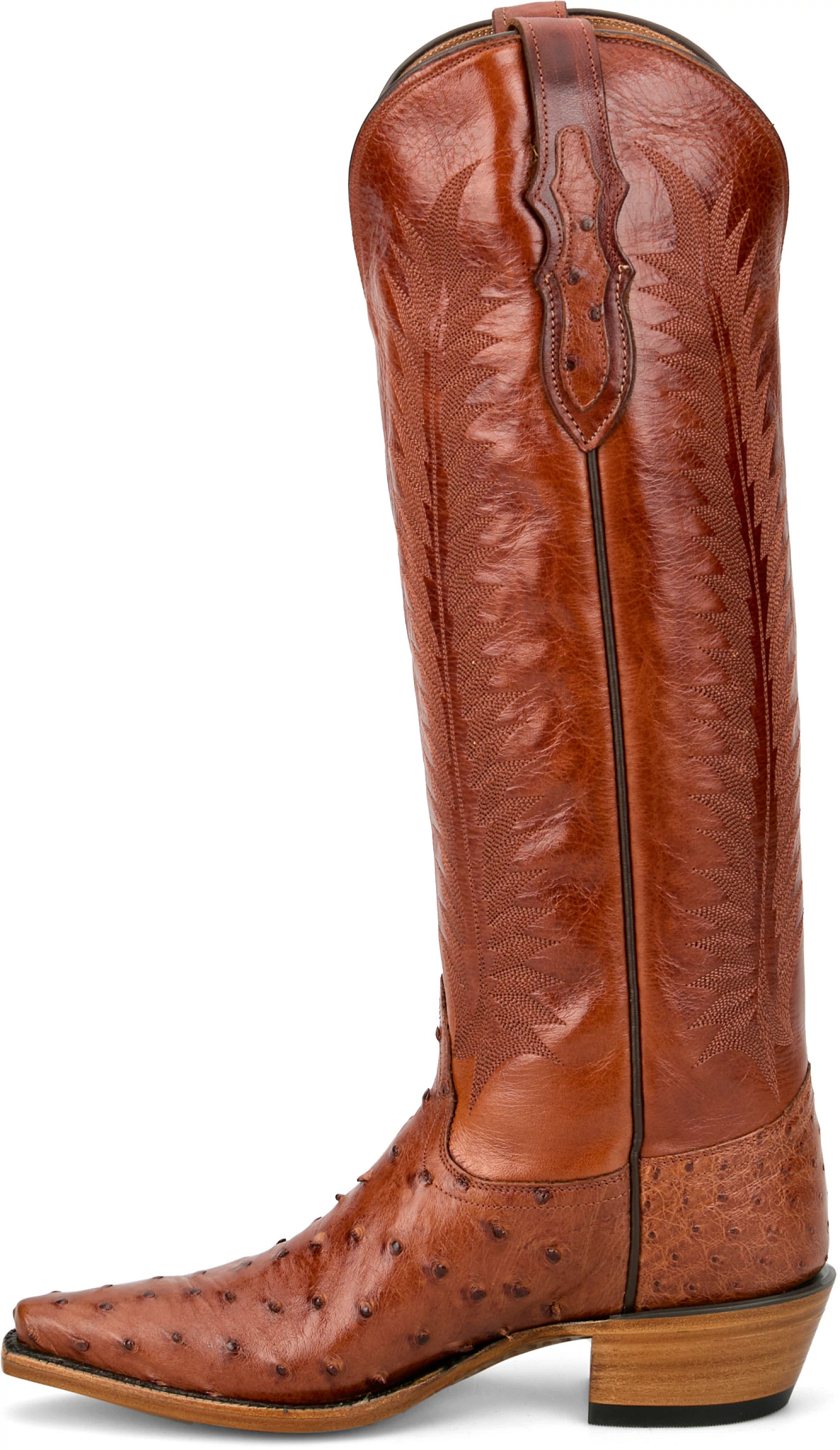 reverse side