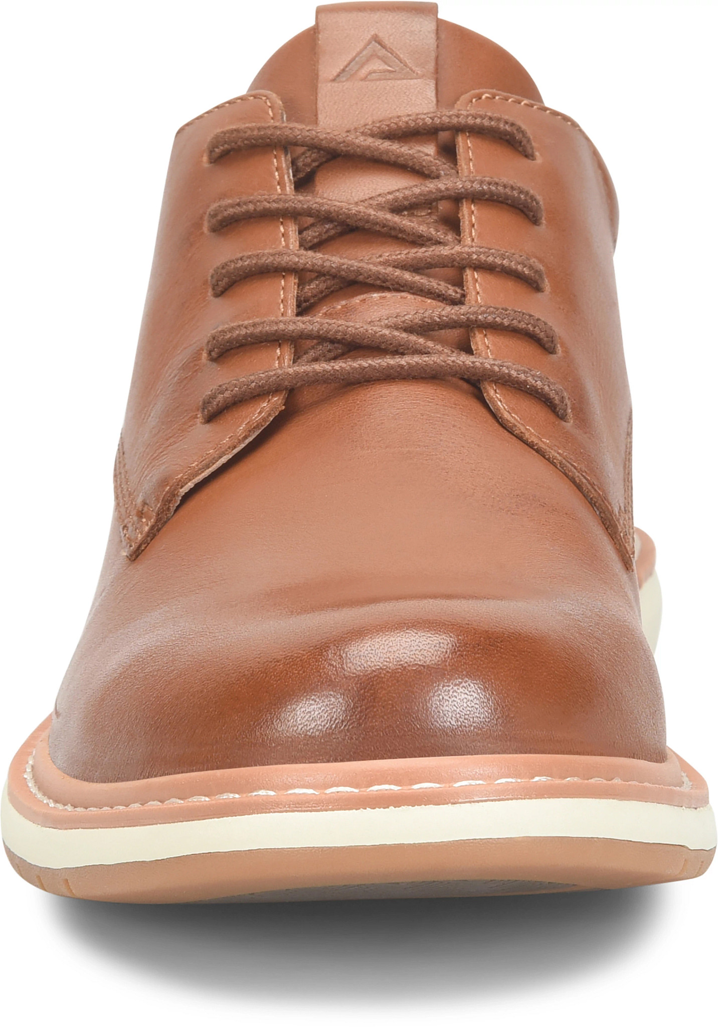 view frontal