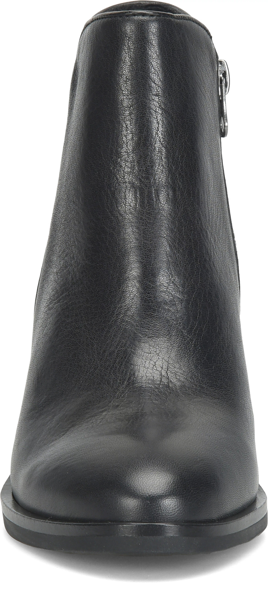 frontal