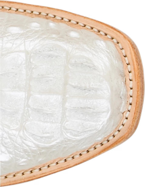Women's Tony Lama Elena 13" Hornback Caiman shown on model 
