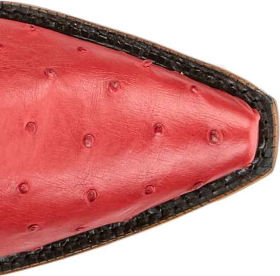 Carolina 17" Full Quill Ostrich  shown on model 