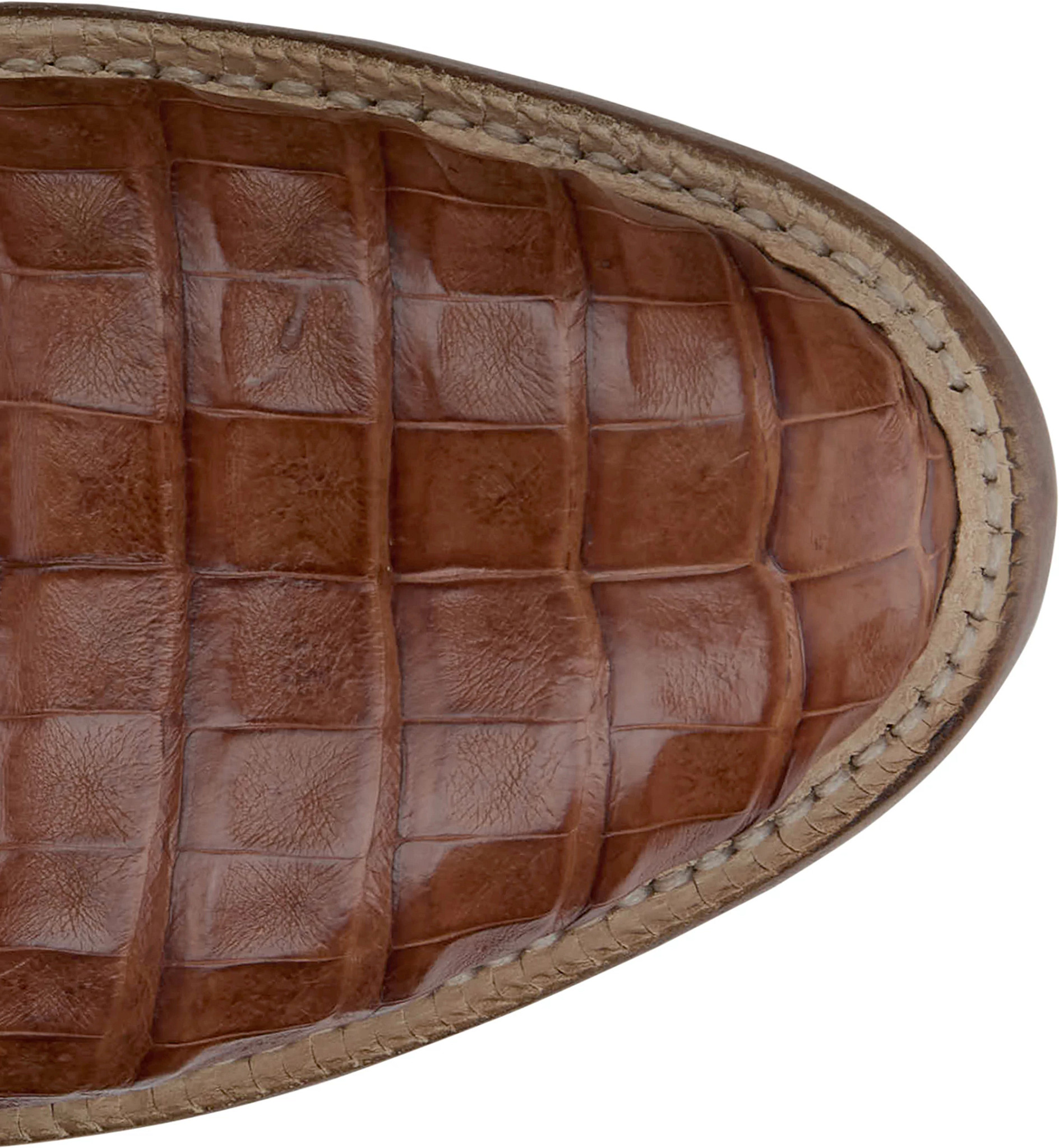 Delmonte 11" Caiman shown on model 