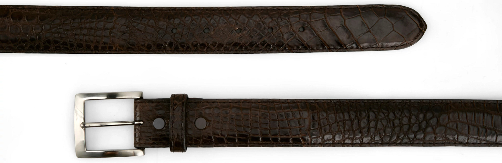 view frontal