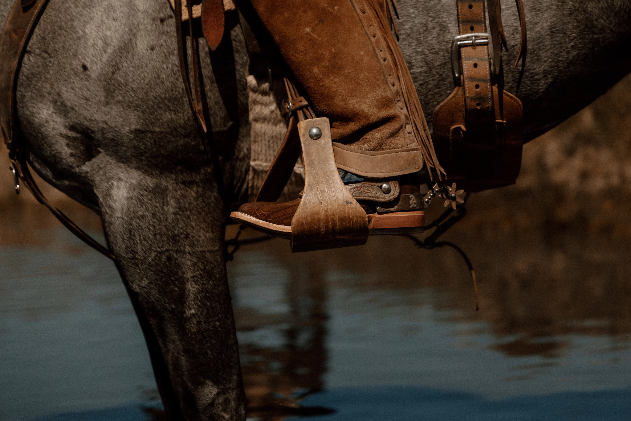 Men's Tony Lama Miguel 11" Alligator shown on model 