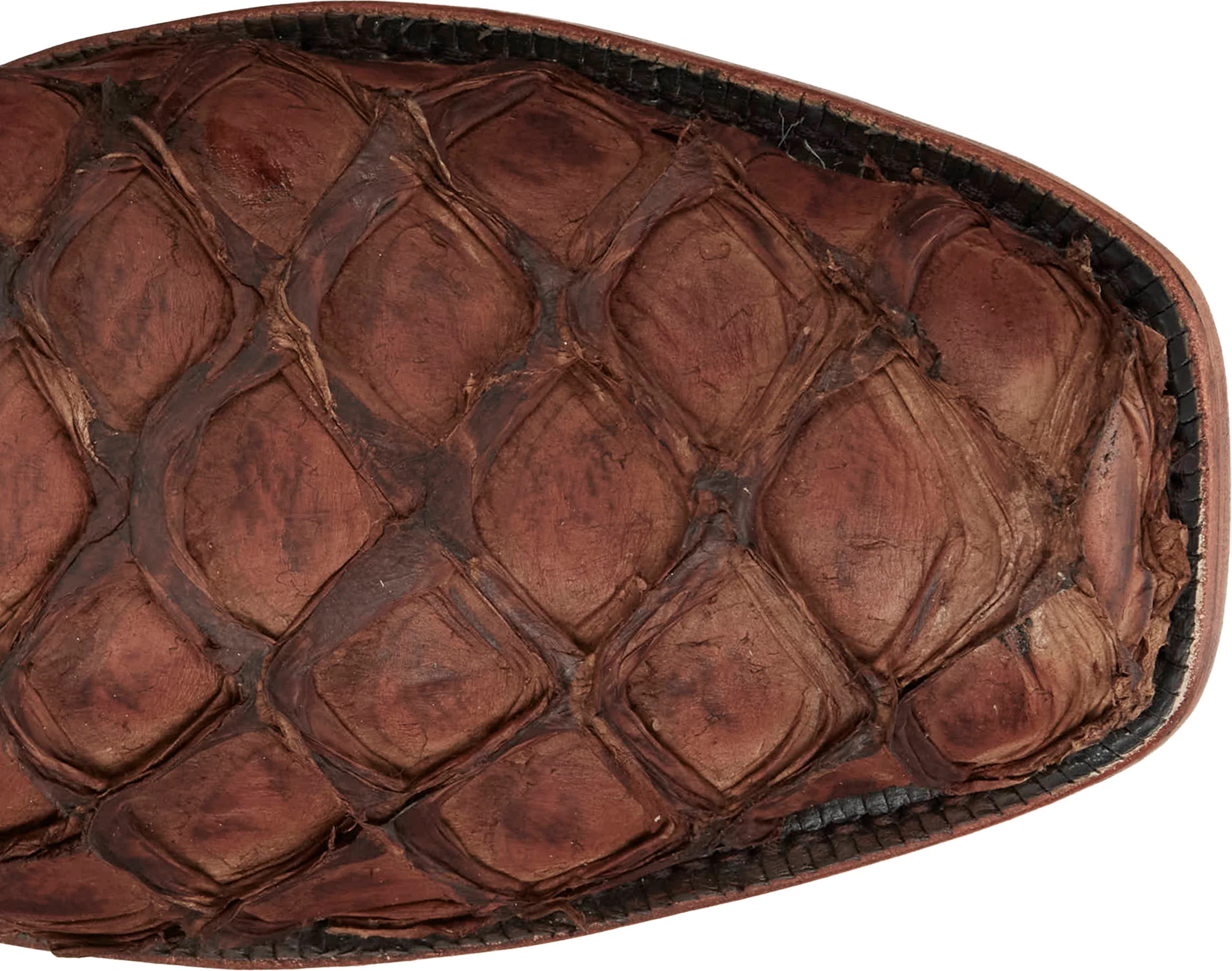 Rocco 13" Pirarucu shown on model 