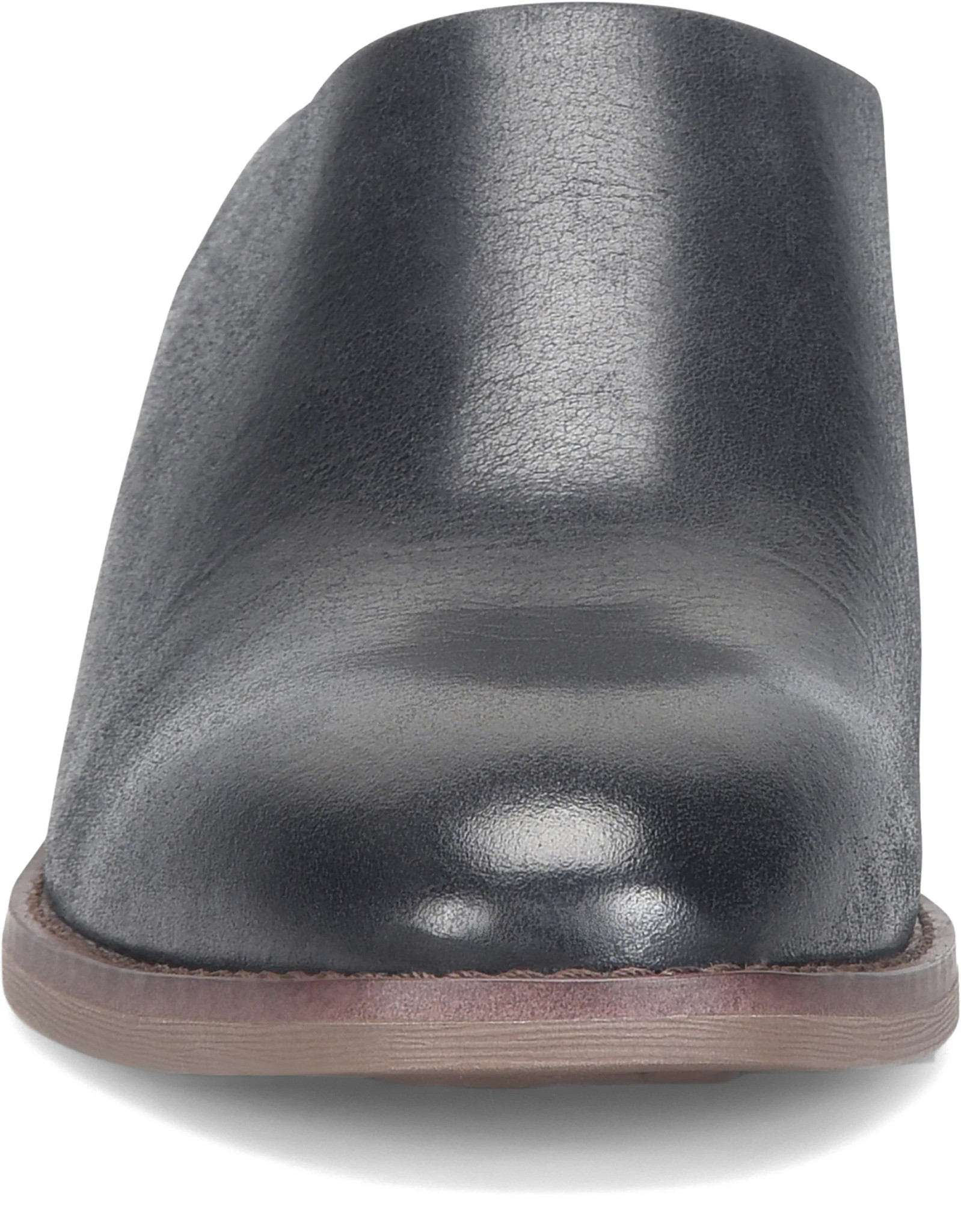 view frontal