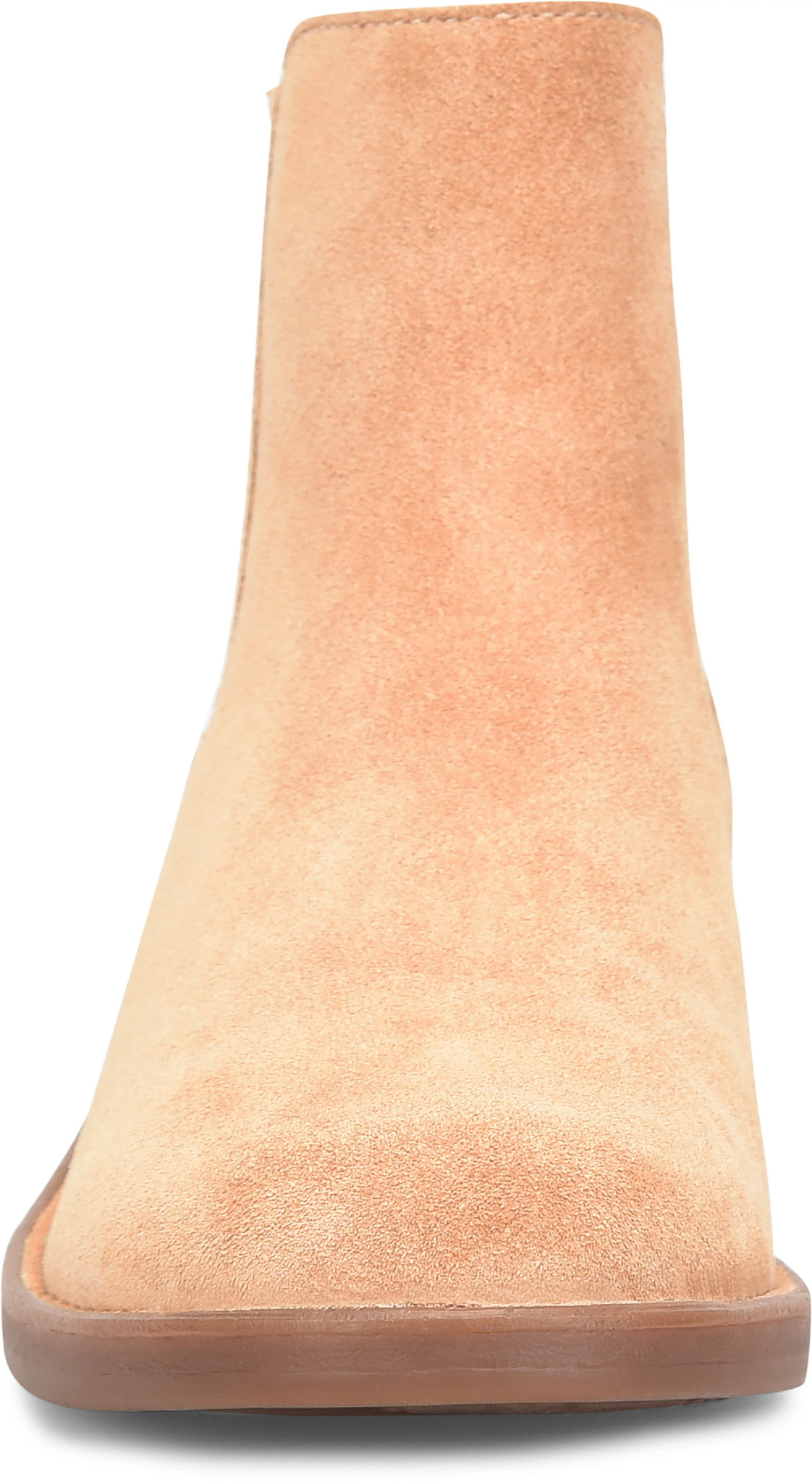 frontal