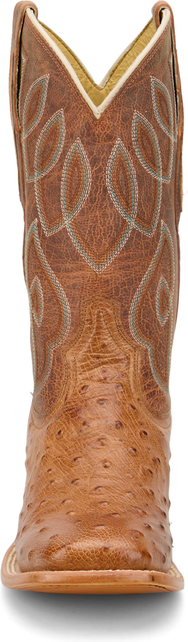 view frontal