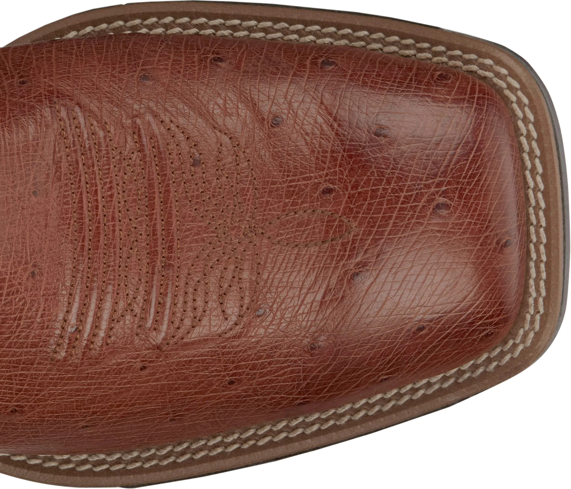 Roswell 11" Smooth Ostrich shown on model 