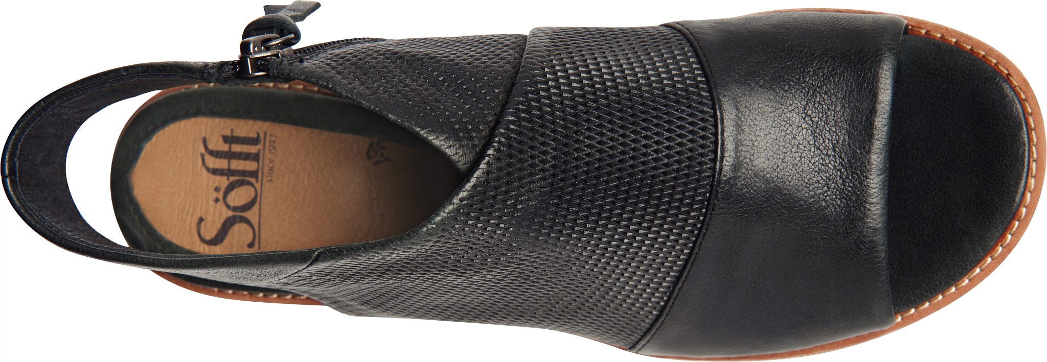 【未使用】TS工房　スナイプ　検）drt フットラボ スカフォグラフGMT - REF41038.02 CU - EBERHARD エベラール