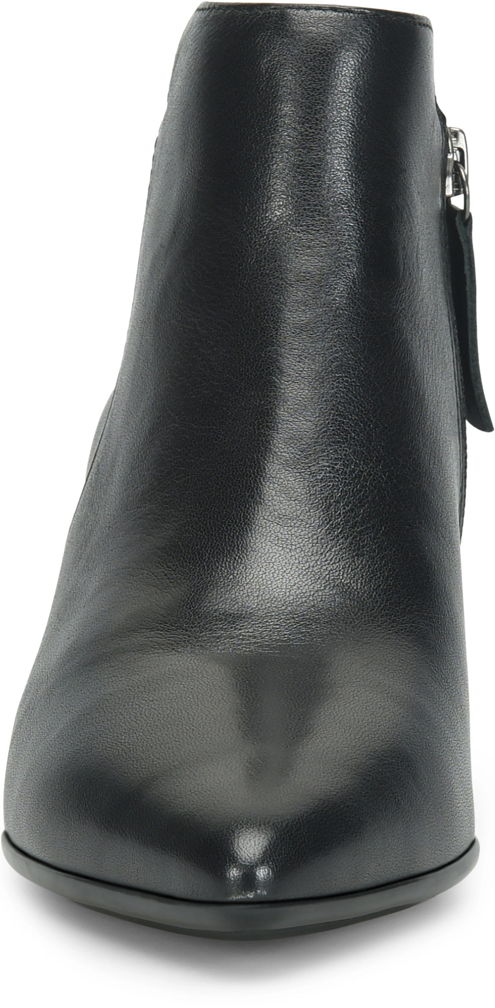 frontal