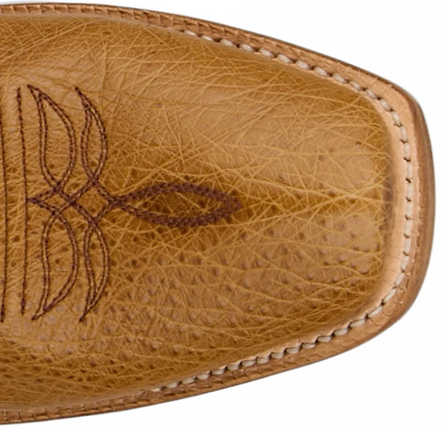 Provence 11" Smooth Ostrich shown on model 