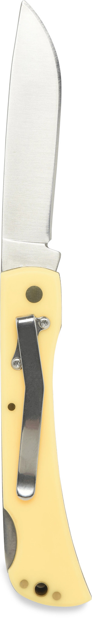posterior