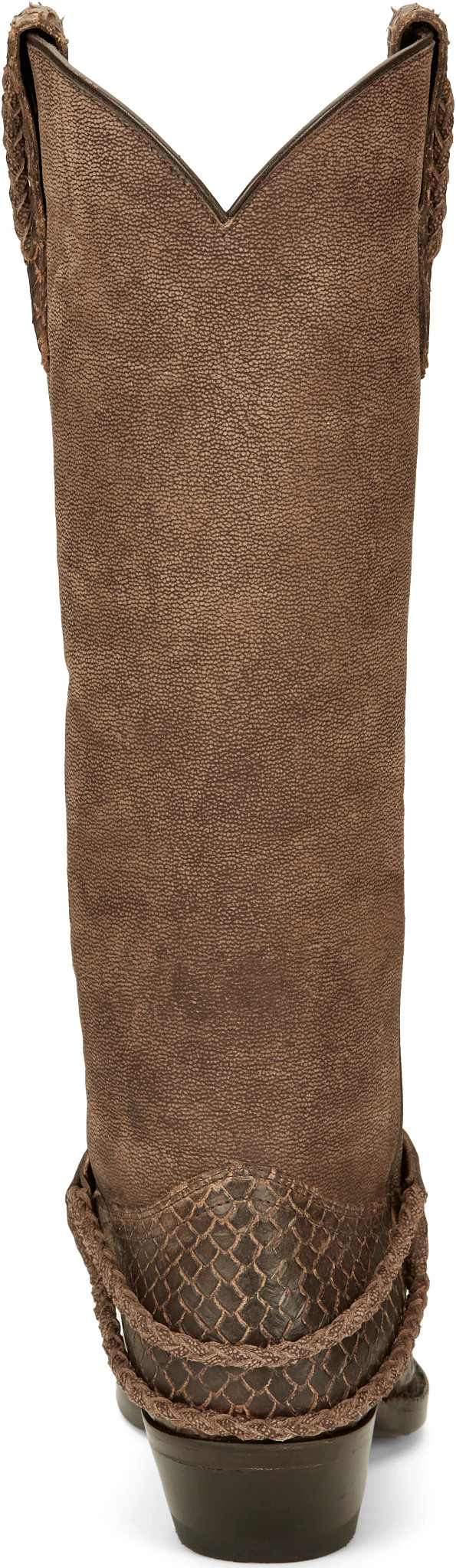 back image