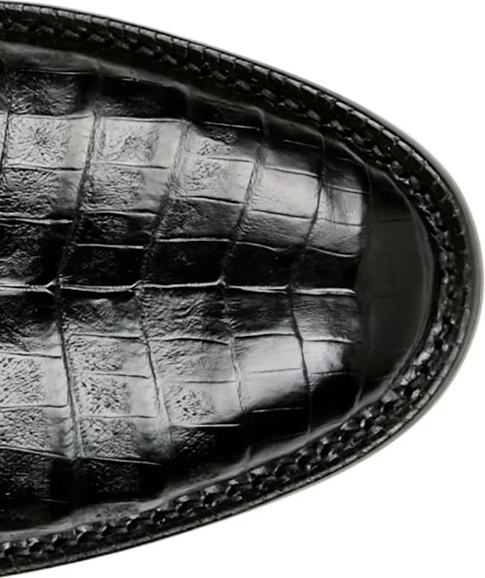 Alex 13" Caiman shown on model 