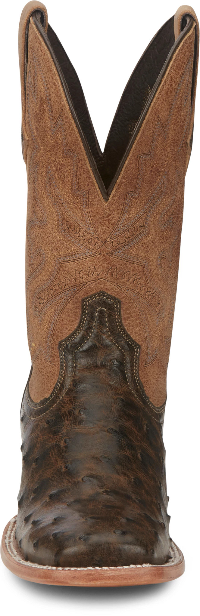 frontal