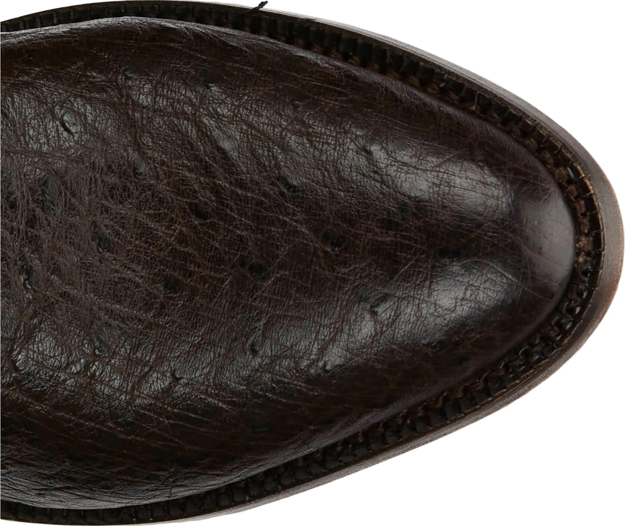 Ray 13" Smooth Ostrich  shown on model 
