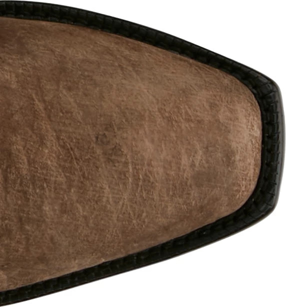 Hernando 13" Hippo shown on model 