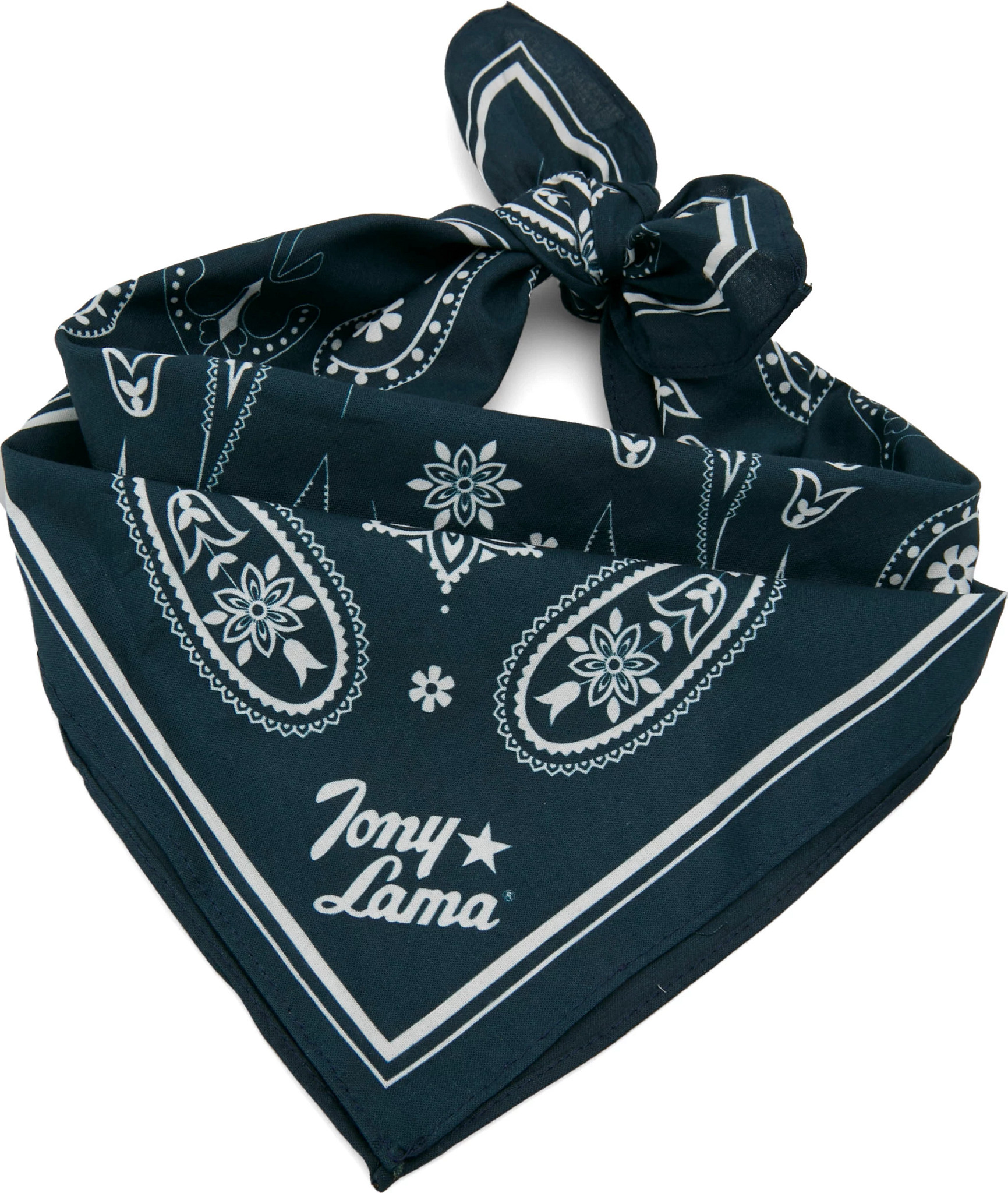 Tony Lama Bandana shown in Blue (Blue)