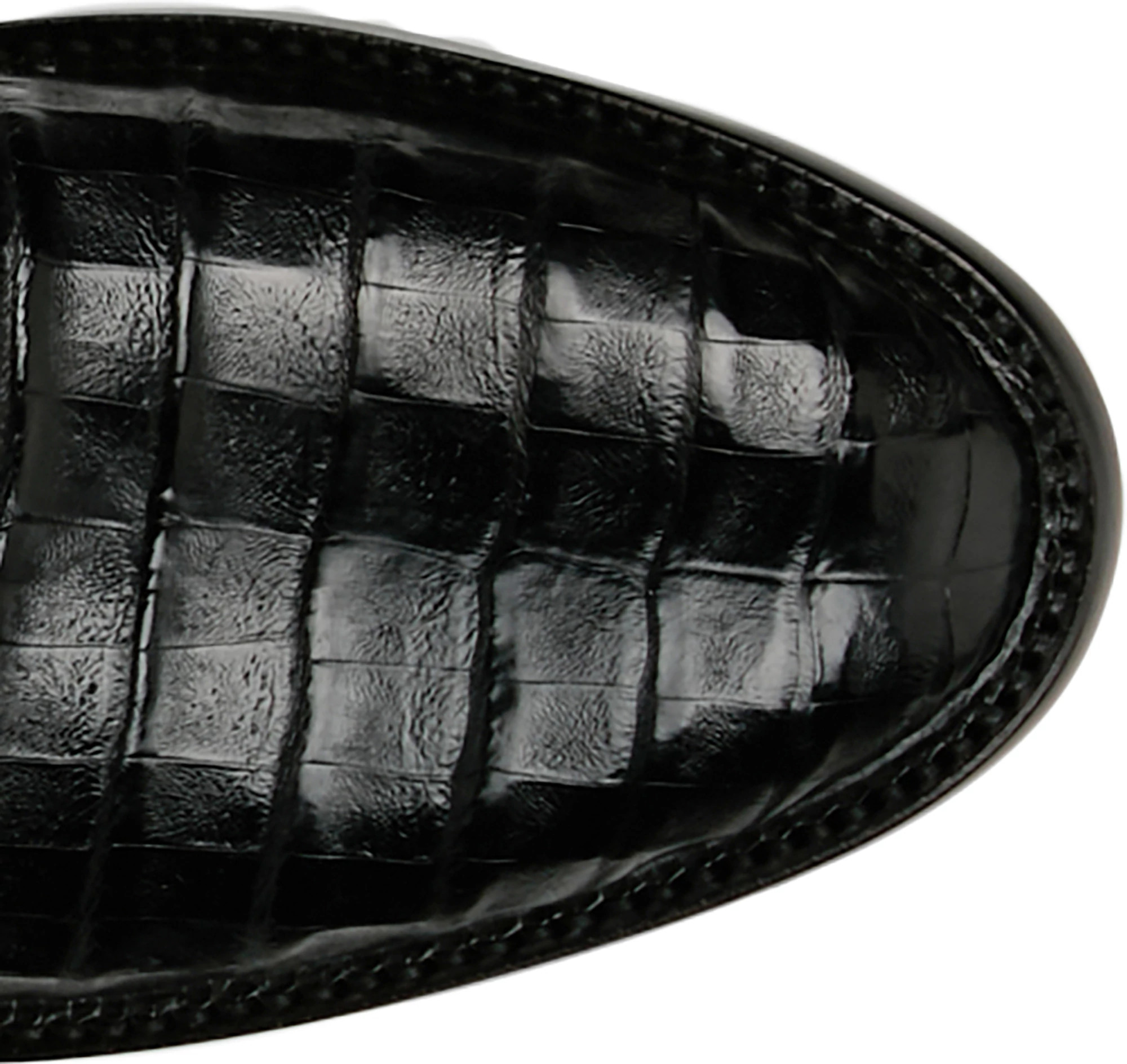 Agustin 13" Belly Caiman shown on model 