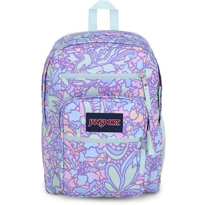 jansport purple and blue backpack Main Campus Laptop Sleeve McCaulou's If youve got precious tech to protect JanSport Backpack Seattle Pack -