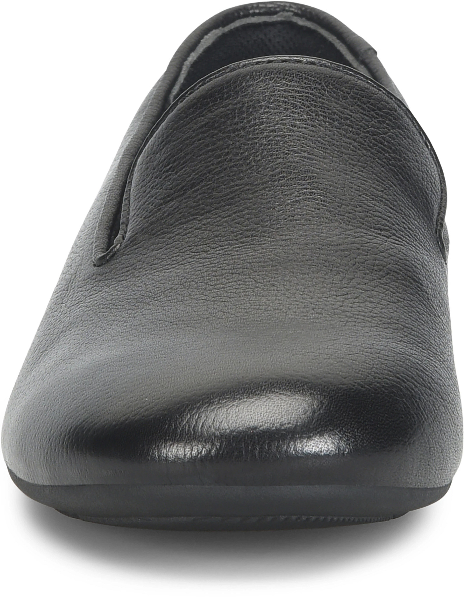 view frontal