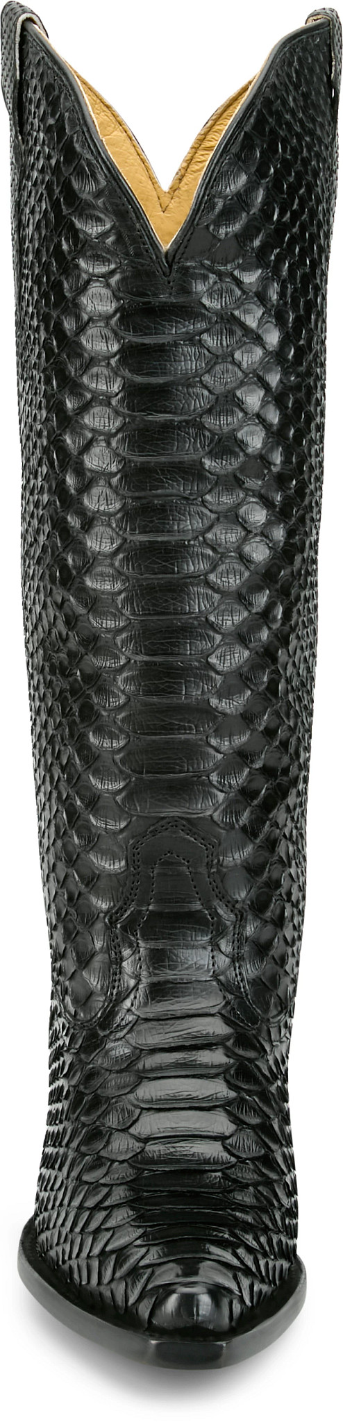 frontal