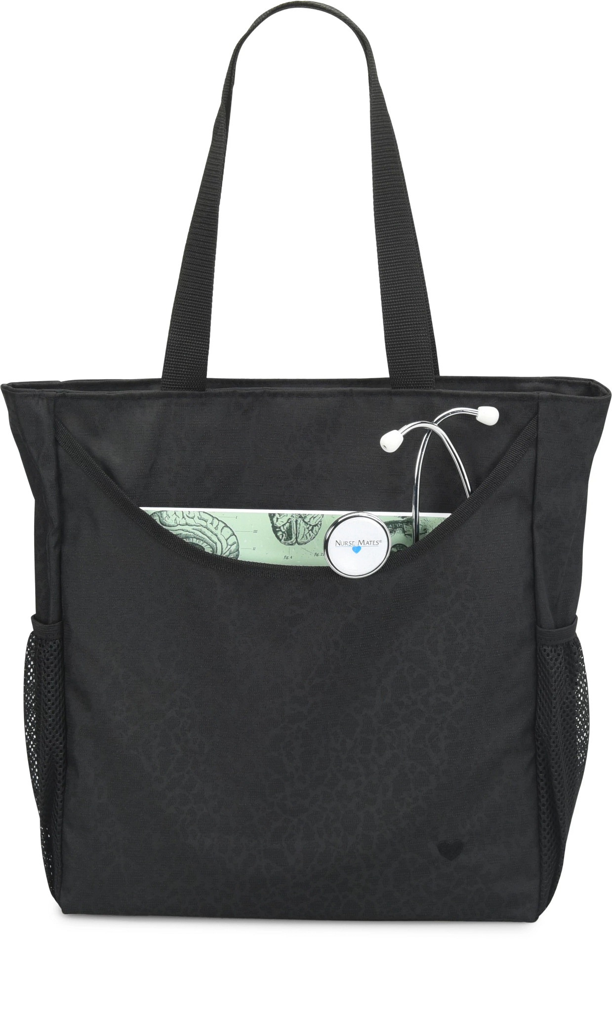 view frontal