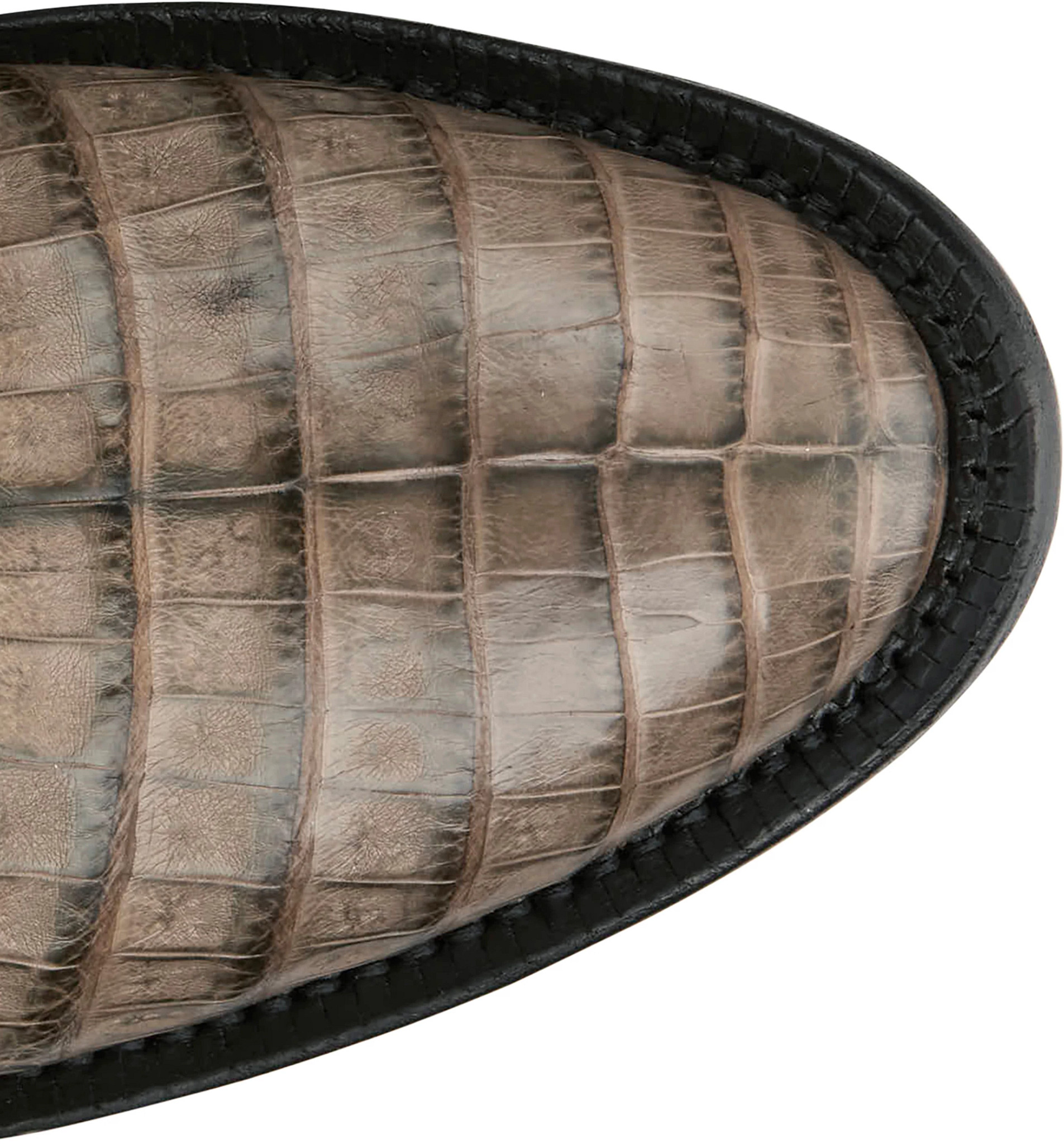 Delmonte 11" Caiman shown on model 