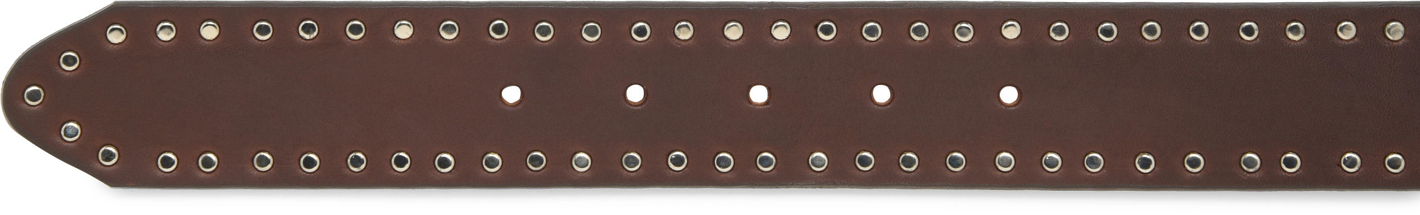 view posterior