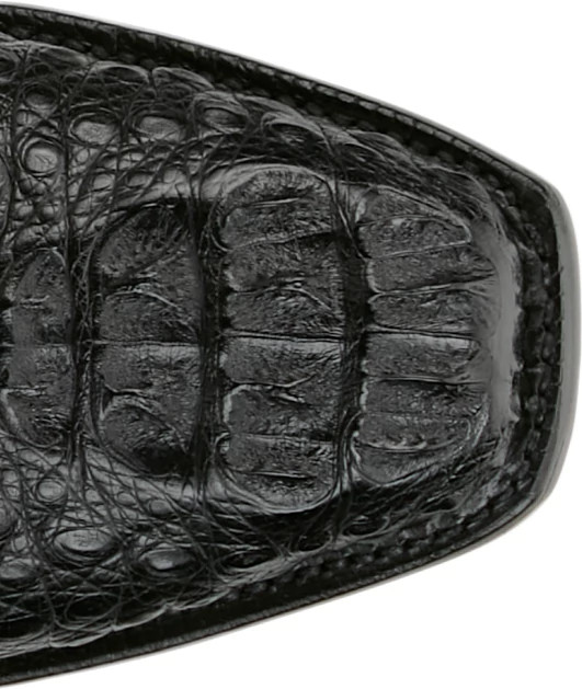 Azure 13" Hornback Caiman shown on model 