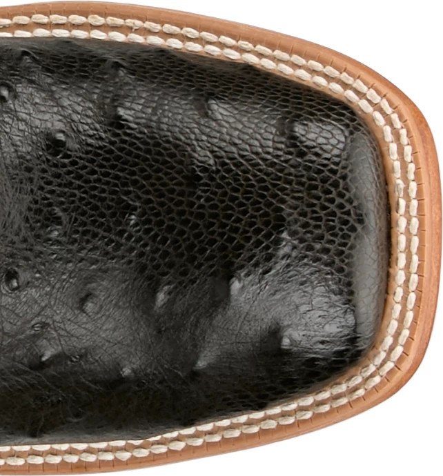 Blaine 11" Ostrich shown on model 